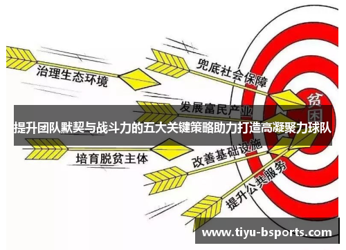 提升团队默契与战斗力的五大关键策略助力打造高凝聚力球队