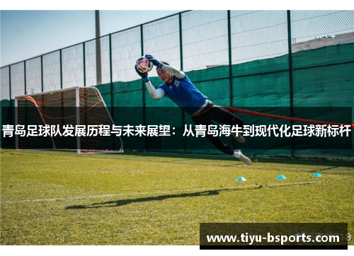 青岛足球队发展历程与未来展望：从青岛海牛到现代化足球新标杆