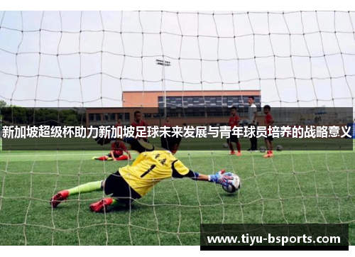 新加坡超级杯助力新加坡足球未来发展与青年球员培养的战略意义