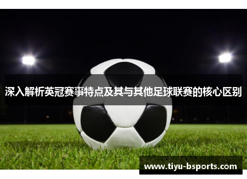 深入解析英冠赛事特点及其与其他足球联赛的核心区别