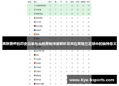英联赛杯的历史沿革与当前赛制深度解析及其在英格兰足球中的独特意义